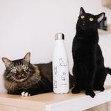 Qwetch Flaska úr einangruðu, riðfríu stáli - kisur 😺  - 500 ml - heitt/kalt